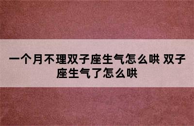 一个月不理双子座生气怎么哄 双子座生气了怎么哄